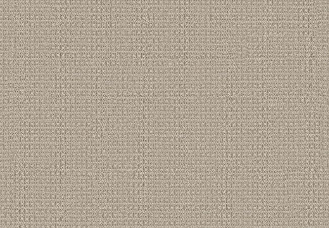 Anderson Tuftex Carpet Fetch Birch