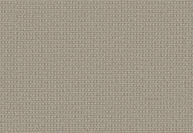 Anderson Tuftex Carpet Fetch Briarwood