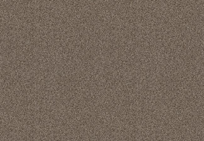 Anderson Tuftex Carpet Fetch Desert Palm