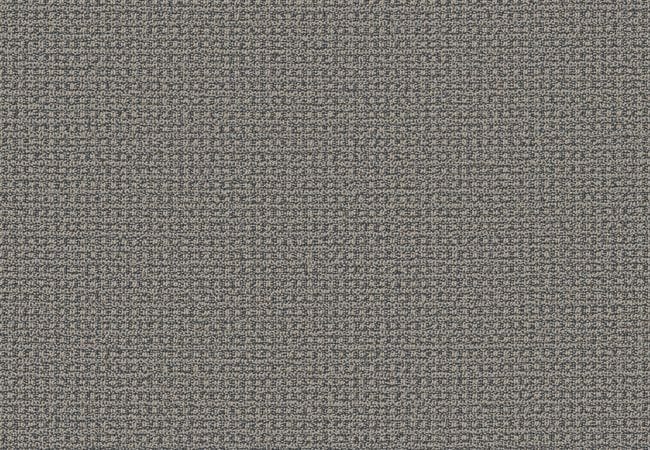 Anderson Tuftex Carpet Fetch Downpour