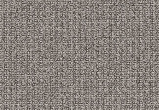 Anderson Tuftex Carpet Fetch Monument