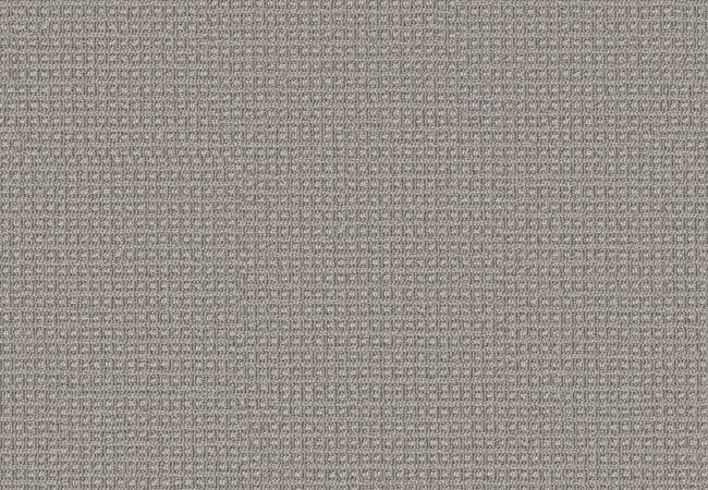 Anderson Tuftex Carpet Fetch Oxford