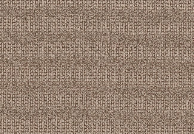 Anderson Tuftex Carpet Fetch Russet