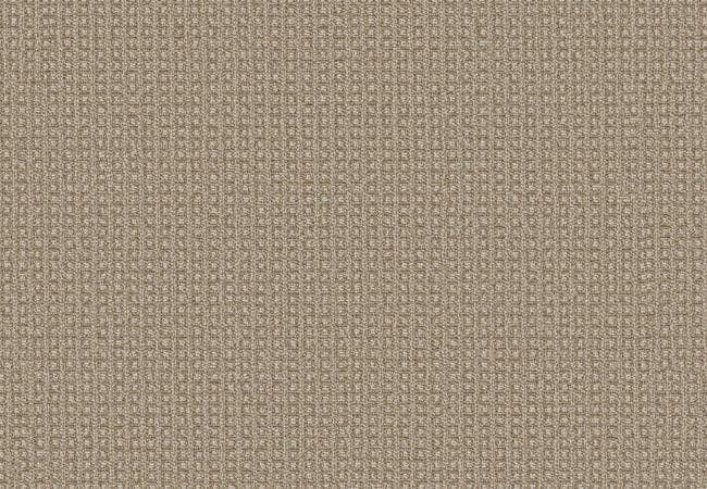 Anderson Tuftex Carpet Fetch Sesame