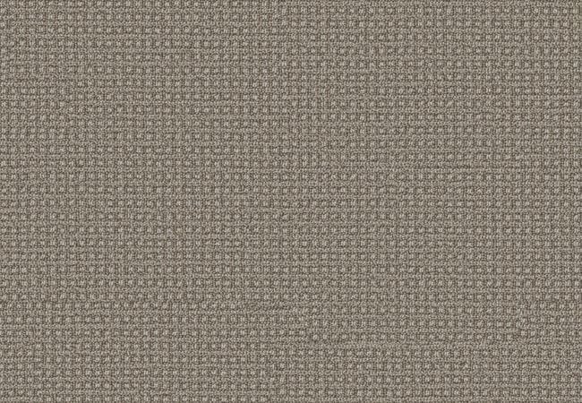 Anderson Tuftex Carpet Fetch Stampede