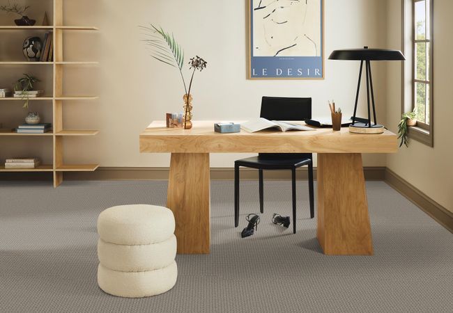 Anderson Tuftex Carpet Fetch Stampede view 2