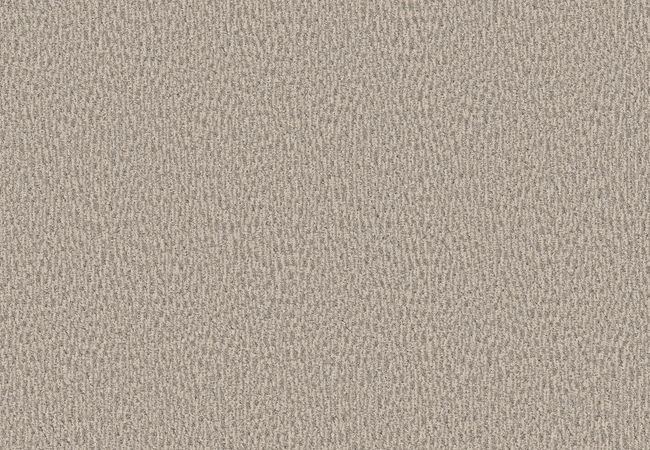 Anderson Tuftex Carpet Fur Ever Bennington