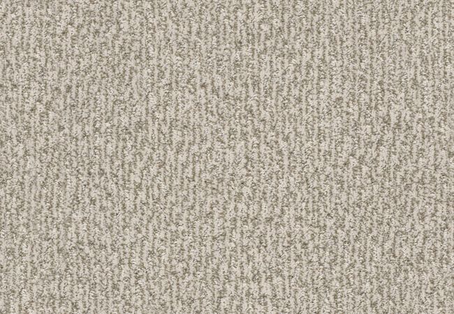 Anderson Tuftex Carpet Fur Ever Birch