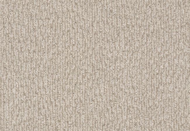 Anderson Tuftex Carpet Fur Ever Cedar
