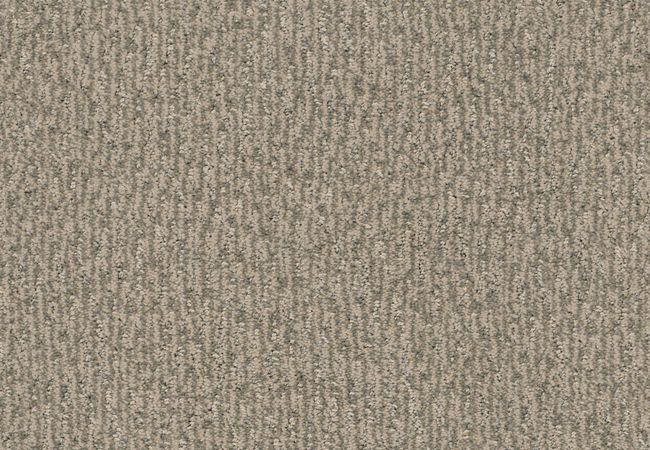 Anderson Tuftex Carpet Fur Ever Cloud Cover