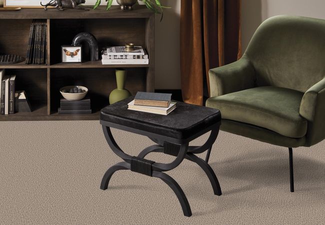 Anderson Tuftex Carpet Fur Ever Cloud Cover view 2