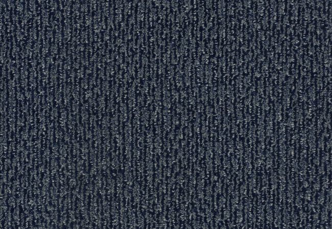 Anderson Tuftex Carpet Fur Ever Hale Navy