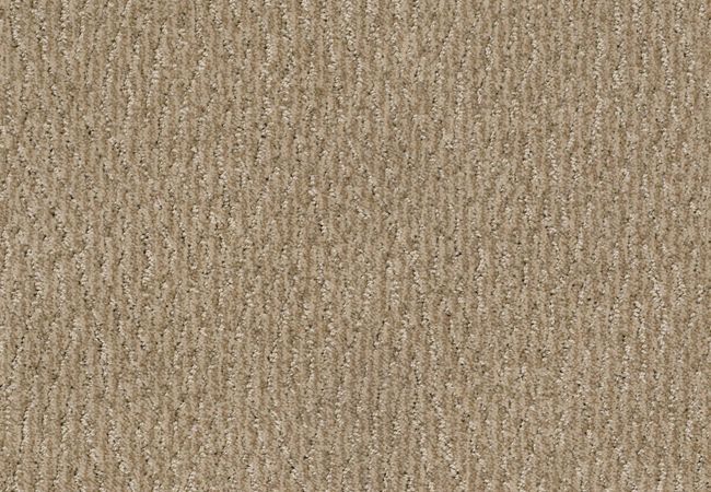 Anderson Tuftex Carpet Fur Ever Mystic