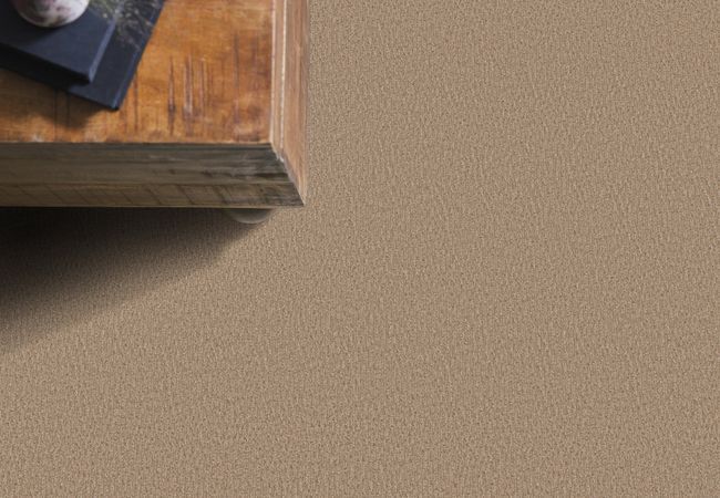 Anderson Tuftex Carpet Fur Ever Mystic view 2