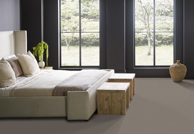 Anderson Tuftex Carpet Fur Ever Rockport view 3
