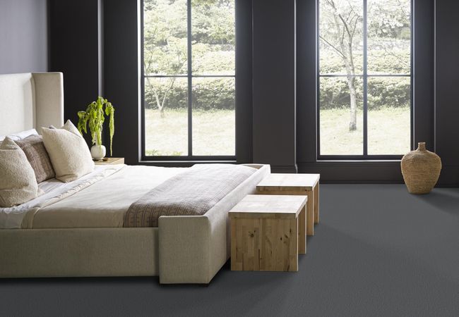 Anderson Tuftex Carpet Fur Ever Waterbury view 3