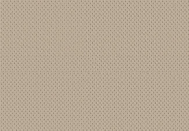 Anderson Tuftex Carpet Mera Biscuit