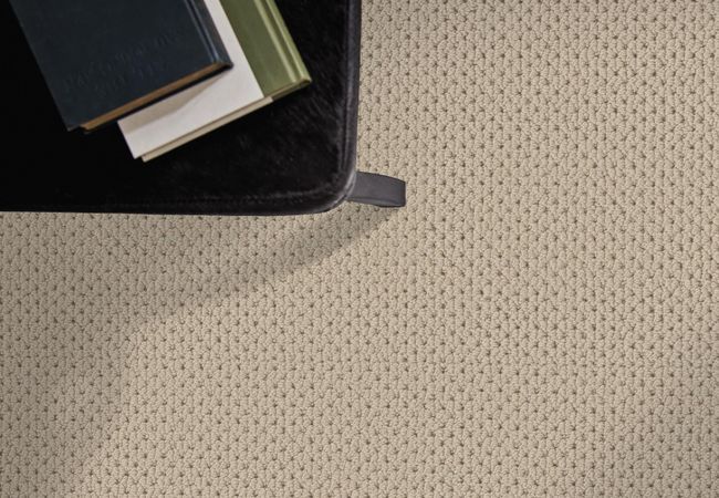 Anderson Tuftex Carpet Mera Biscuit view 2