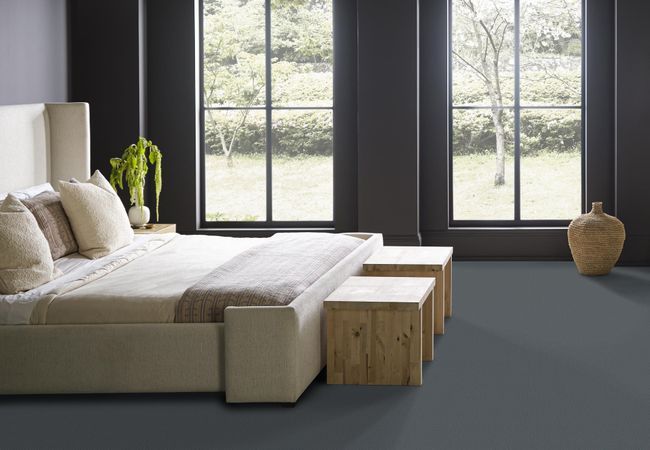 Anderson Tuftex Carpet Mera Blustery Sky view 2