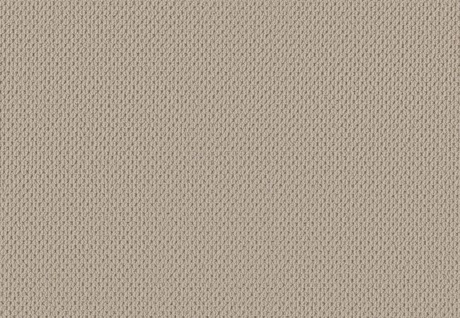 Anderson Tuftex Carpet Mera Fleece
