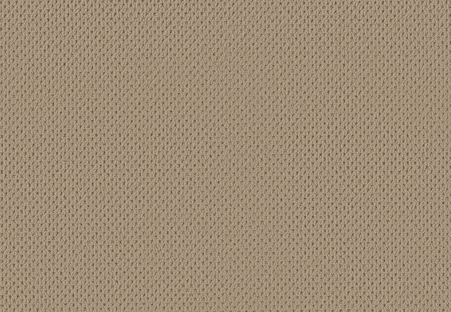 Anderson Tuftex Carpet Mera Golden