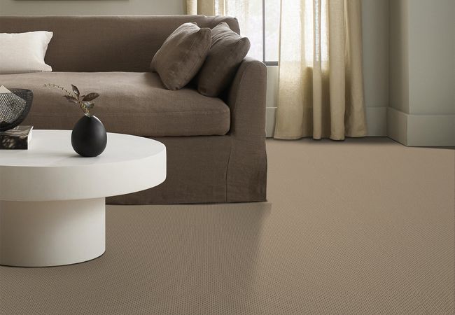 Anderson Tuftex Carpet Mera Golden view 2