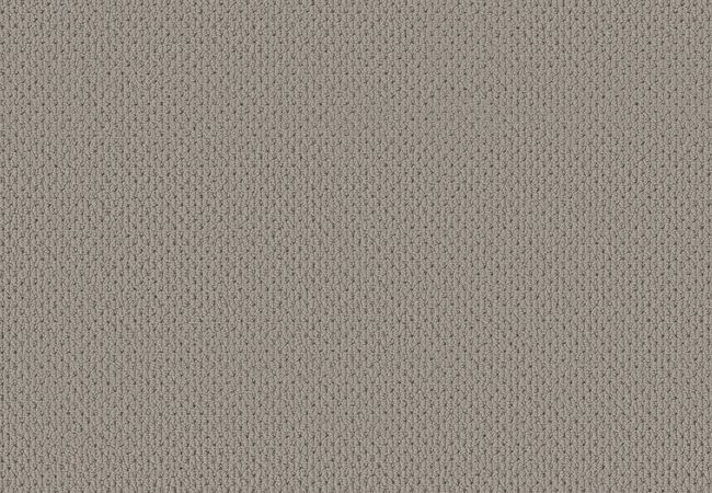 Anderson Tuftex Carpet Mera Huskie