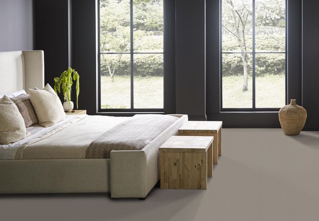Anderson Tuftex Carpet Mera Huskie view 3