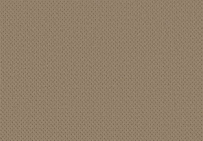 Anderson Tuftex Carpet Mera Latte