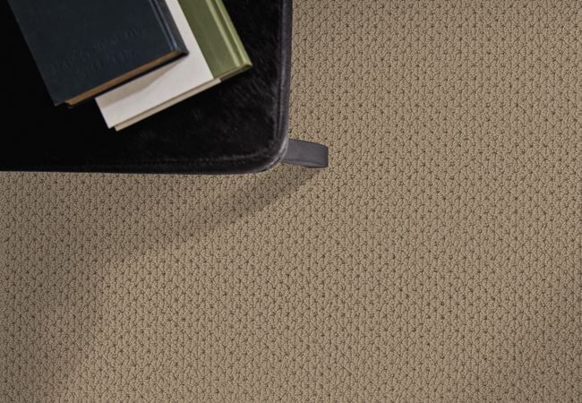 Anderson Tuftex Carpet Mera Latte view 2
