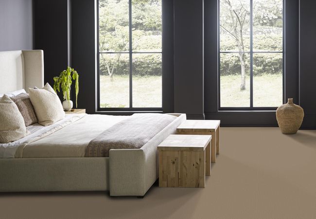 Anderson Tuftex Carpet Mera Latte view 3