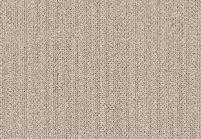 Anderson Tuftex Carpet Mera Natural