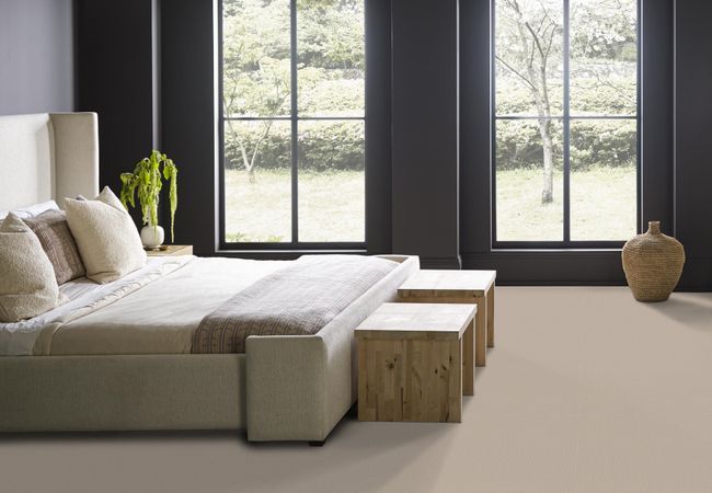 Anderson Tuftex Carpet Mera Natural view 3