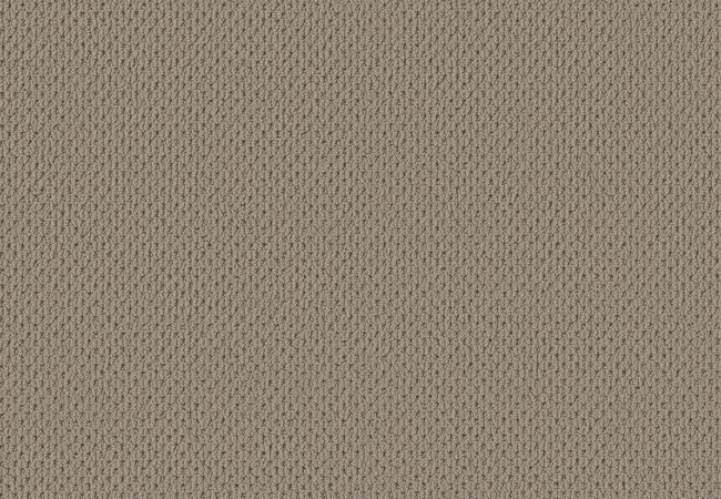 Anderson Tuftex Carpet Mera Pavestone