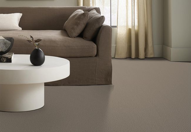 Anderson Tuftex Carpet Mera Pavestone view 2