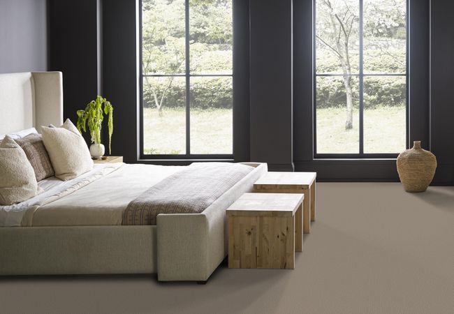 Anderson Tuftex Carpet Mera Pavestone view 3