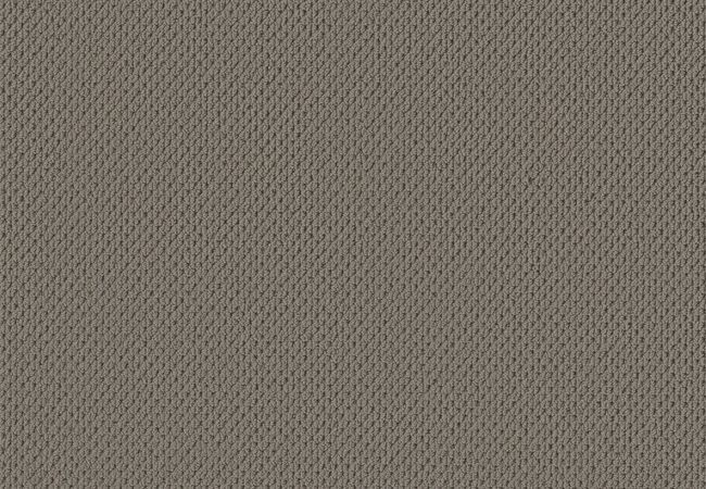 Anderson Tuftex Carpet Mera Pewter