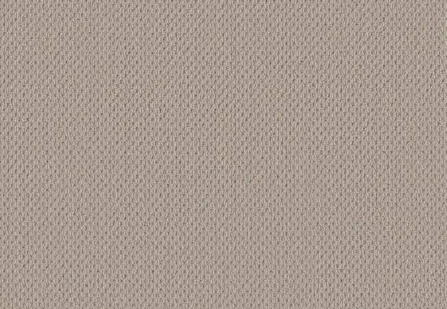 Anderson Tuftex Carpet Mera Plymouth