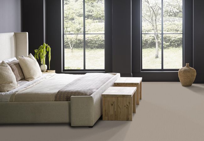 Anderson Tuftex Carpet Mera Plymouth view 3