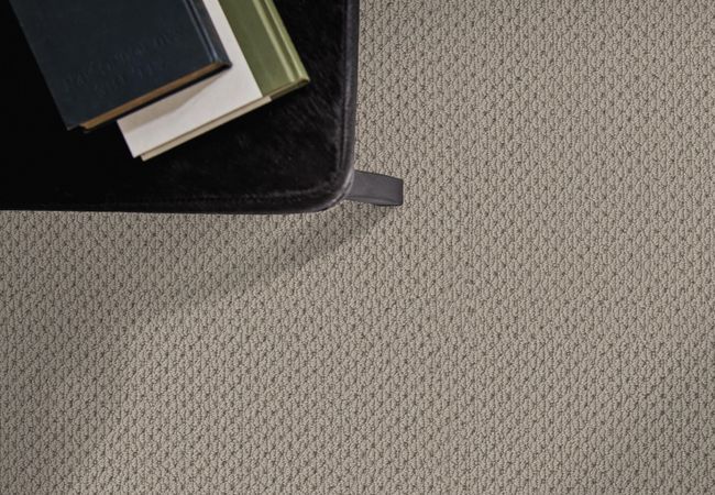 Anderson Tuftex Carpet Mera Portico view 2