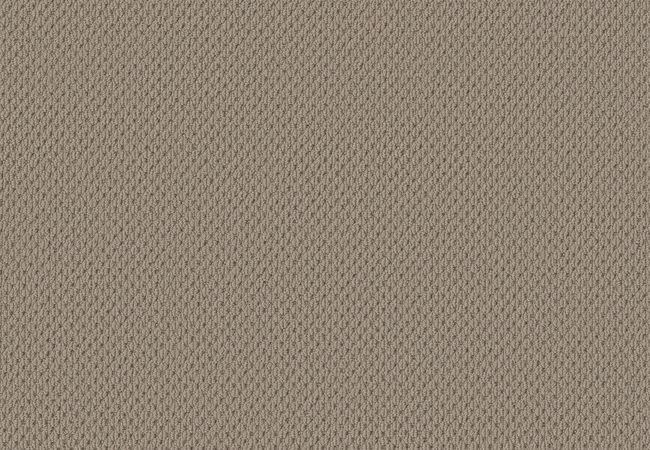 Anderson Tuftex Carpet Mera Rockport