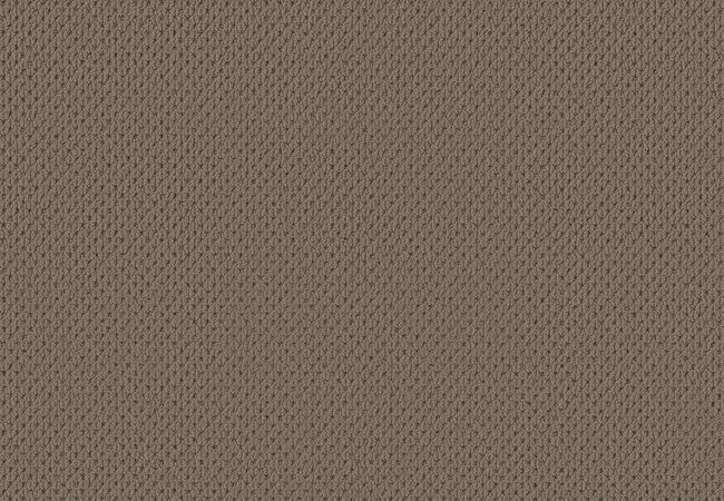 Anderson Tuftex Carpet Mera Shingle