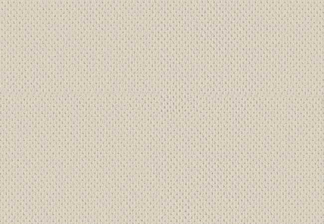 Anderson Tuftex Carpet Mera Sparkling