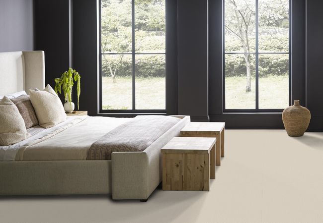Anderson Tuftex Carpet Mera Sparkling view 3