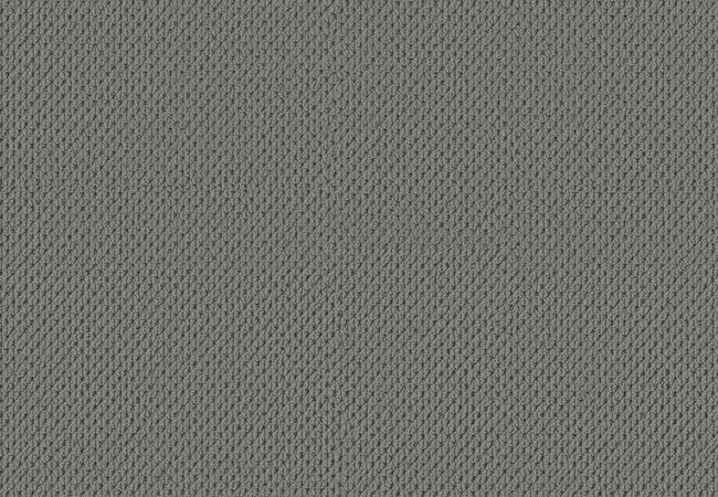 Anderson Tuftex Carpet Mera Tin