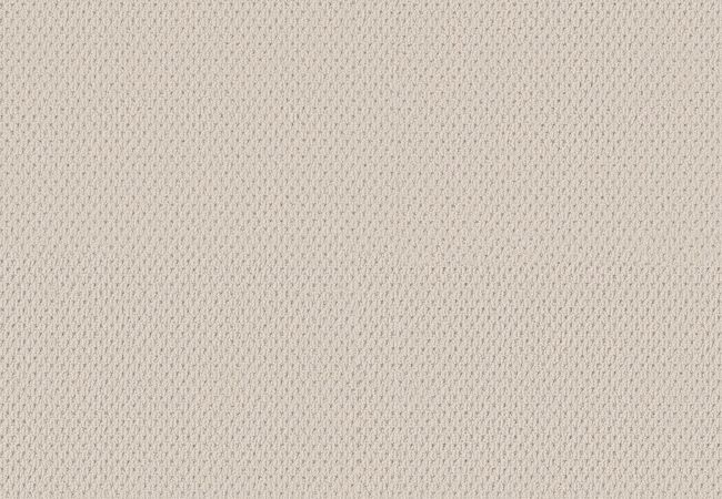 Anderson Tuftex Carpet Mera White Blush