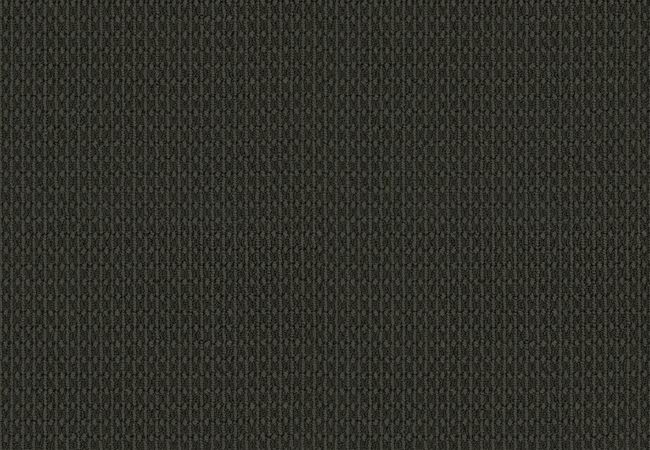 Anderson Tuftex Carpet Moondance After Dark