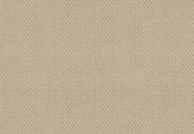 Anderson Tuftex Carpet Moondance Antique