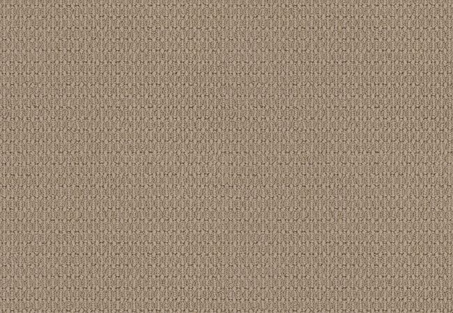 Anderson Tuftex Carpet Moondance Bungalow
