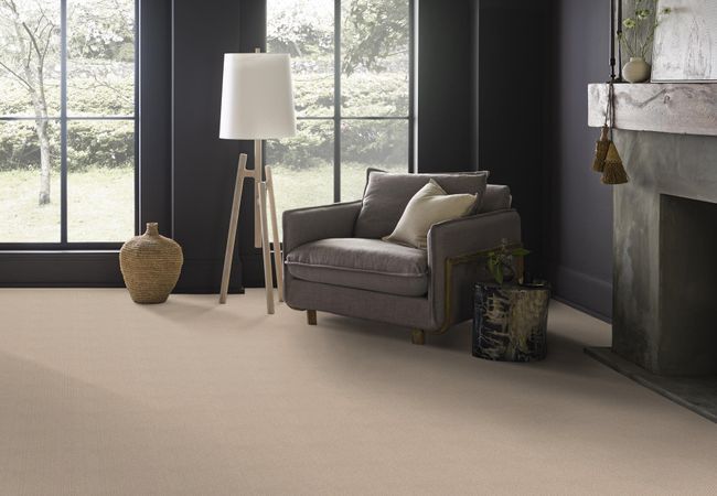 Anderson Tuftex Carpet Moondance Bungalow view 2